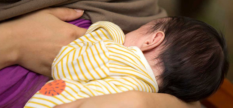 افزایش شیر مادران در مقاله خواص عسل سنبل