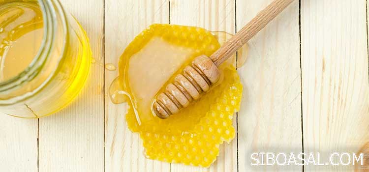خاصیت ضد انگل در مقاله خواص عسل گشنیز