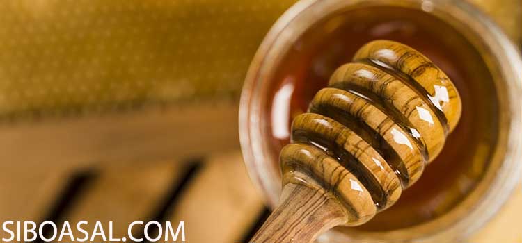 درمان و پاک سازی کبد در مقاله خواص عسل پونه کوهی