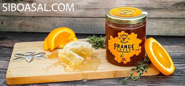 ضد باکتری در مقاله خواص عسل پرتقال
