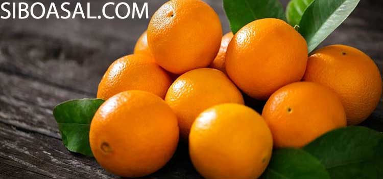 سرشار از ویتامین c در مقاله خواص عسل پرتقال
