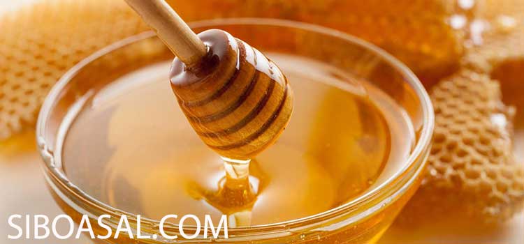 تب بر طبیعی در مقاله خواص عسل ترشک