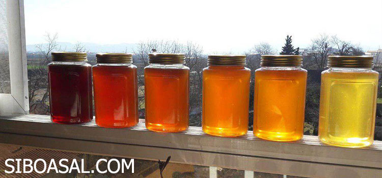 رنگ عسل طبیعی در روشهای تشخیص عسل طبیعی