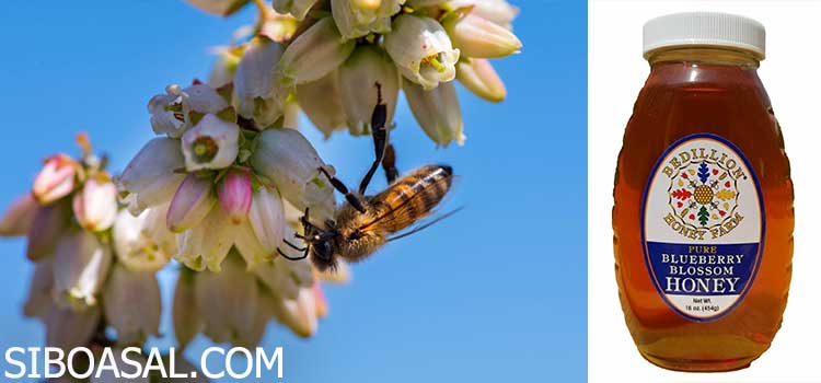 خاصیت ضد التهاب در مقاله خواص عسل بلوبری