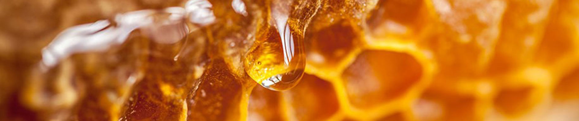 عکس سر صفحه مقاله روشهای تشخیص عسل طبیعی
