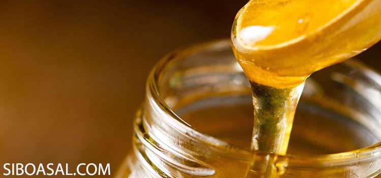 درمان آلزایمر در مقاله خواص عسل و سیاه دانه