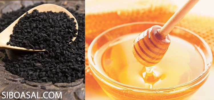 جلوگیری از ریزش مو در مقاله خواص عسل و سیاه دانه