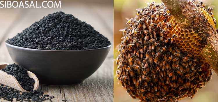 درمان سردردهای مزمن در مقاله خواص عسل و سیاه دانه