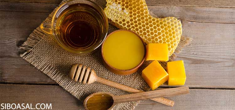 کاهش کلسترول در مقاله خواص موم زنبور عسل چیست