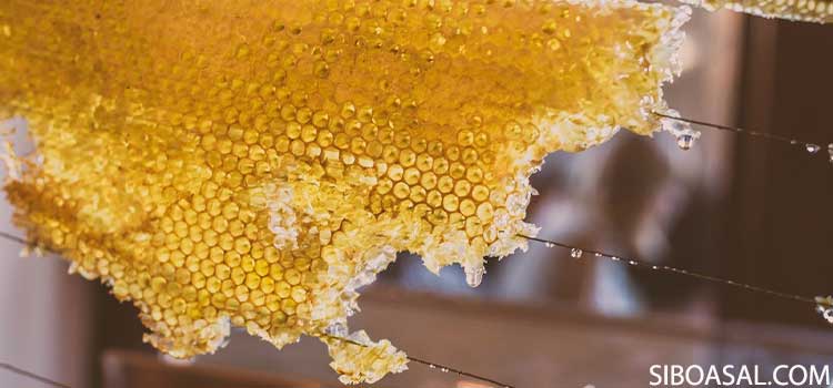 خصوصیات ظاهری موم عسل چیست