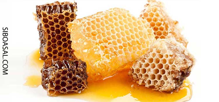 خواص ضد باکتری موم زنبور عسل چیست