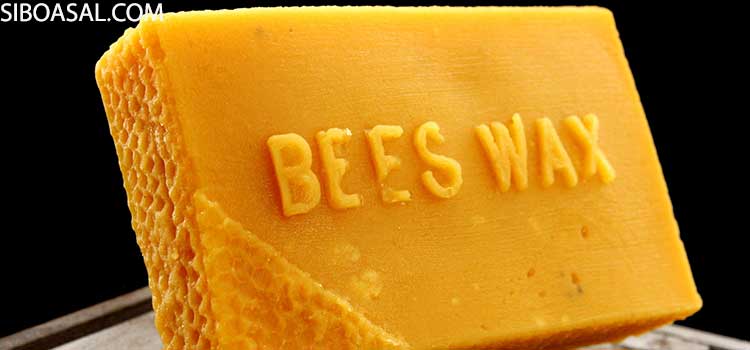 درمان عفونتهای قارچی در مقاله خواص موم زنبور عسل چیست