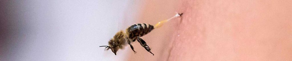 عکس سر صفحه مقاله خواص زهر زنبور عسل