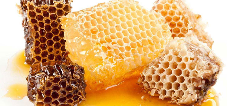 موم عسل در مقاله محصولات زنبور عسل